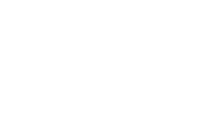 Início Nexa Logo 300x169